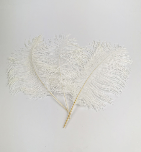 Perje - 3 kom 92086, 92086