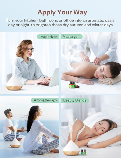 Anjou eterična ulja, 12 vrsta, 12x5 ml AJ-PCN013