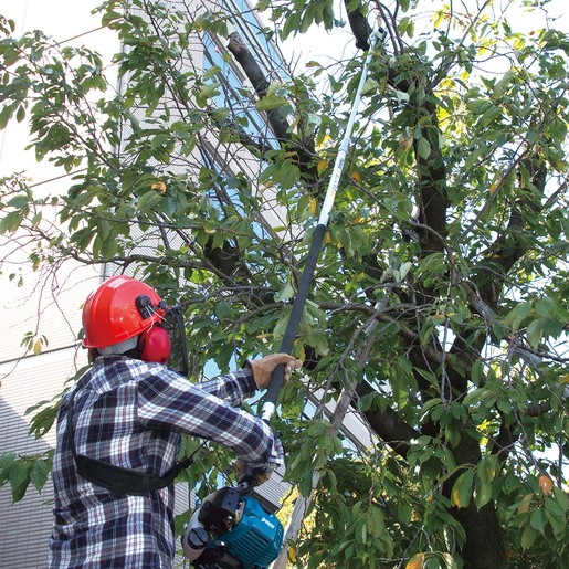 MAKITA teleskopska motorna lančana pila EY2650H25H (0.77kW, 25cm/392cm, 25,4ccm)
