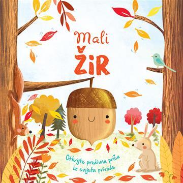 Mali žir, Grupa autora