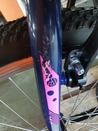 MAGNET bicikl MTB Bonita 26" plavo/roza RO