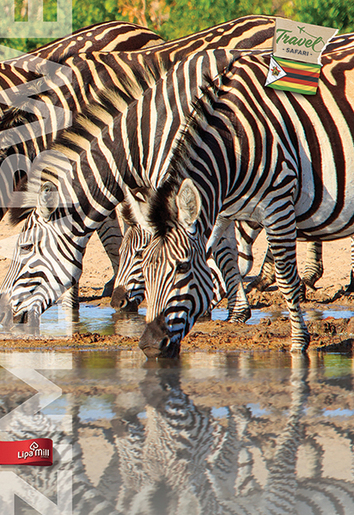 Bilježnica TRAVEL A4, kvadratići, meki uvez Lipa Mill