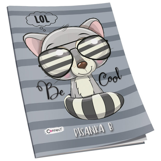 Pisanka B CONNECT, B5 linije, 16 listova, meki uvez