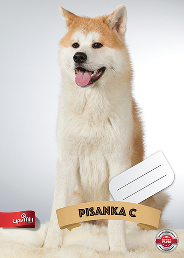 Pisanka C za drugi i treći razred Lipa Mill