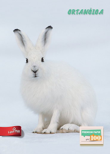 Crtančica za prvi razred Lipa Mill