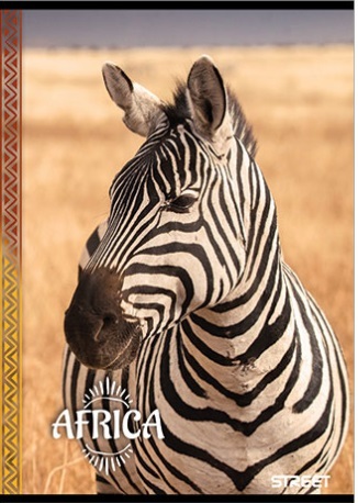 Bilježnica Street, A4, linije, meki uvez