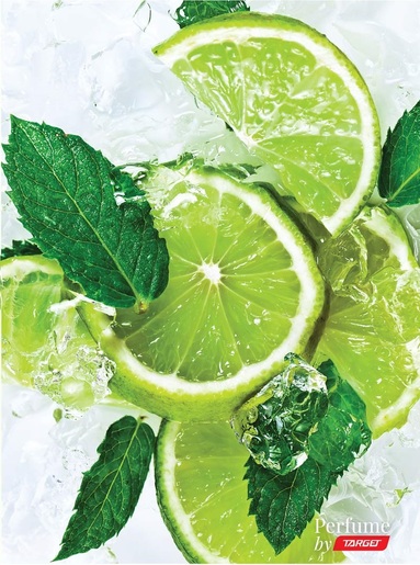 Bilježnica Target MIRISNA, A4, geometrija