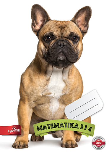 Matematika 2 za treći i četvrti razred Lipa Mill