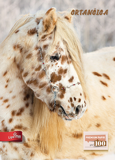 Crtančica za prvi razred Lipa Mill