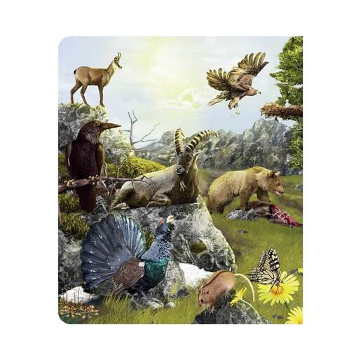 KUKU interaktivna knjiga - Svijet životinja - BEZ OLOVKE