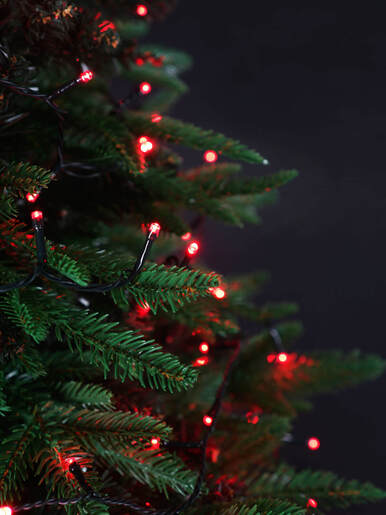 100 LED Lampica – Crvena boja – zelena žica