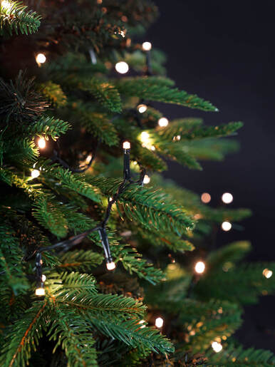 200 LED Lampica – Toplo bijela boja – zelena žica