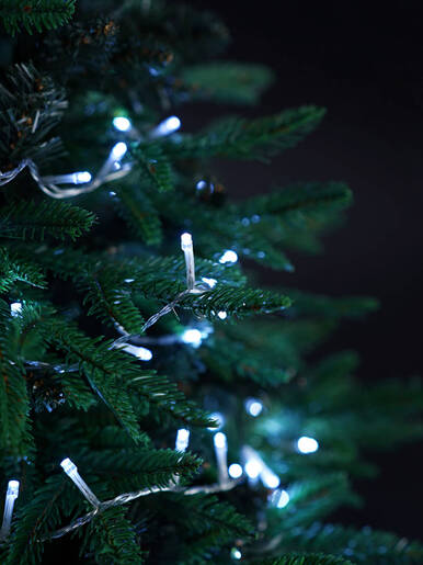 100 LED Lampica – Bijela boja – prozirna žica