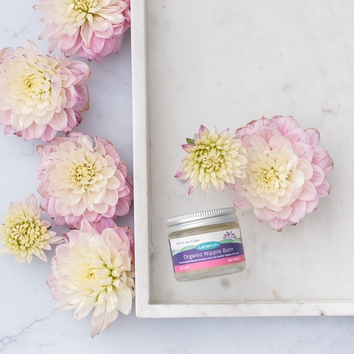 LANSINOH Organski balzam za bradavice 60ml