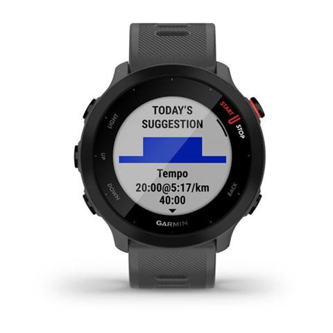 Garmin Forerunner 55 Monterra Grey, 010-02562-13, pametni sat za trčanje