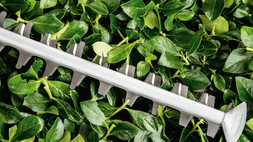 BOSCH UniversalHedgeCut 60 škare za živicu, električne