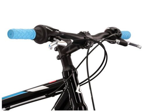 KROSS bicikl MTB Hexagon 1.0 26, crno/bijela, vel.L