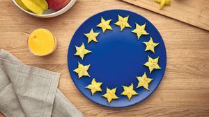 Bosch blender VitaPower MMB2111S