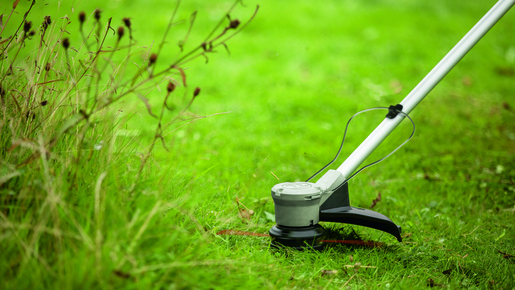 BOSCH AdvancedGrassCut 36V-33 šišač tratine, akumulatorski (1x 2Ah + punjač)