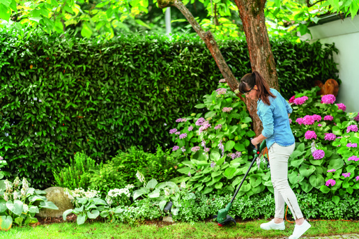 BOSCH EasyGrassCut 26 šišač tratine, električni