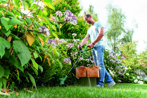 BOSCH EasyGrassCut 26 šišač tratine, električni