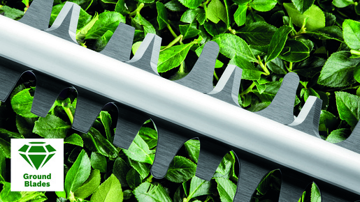 BOSCH AdvancedHedgeCut 36V-65-28 škare za živicu, akumulatorske