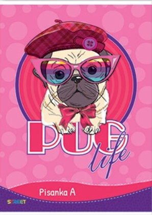 Pisanka A STREET MIX, B5 linije, 16 listova, meki uvez