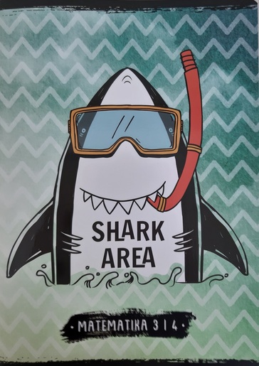 Pisanka Matematika 3 i 4  STREET GOLD MIX, B5 kvadratići, 24 lista, meki uvez