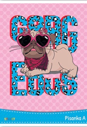 Pisanka A  STREET GOLD MIX, B5 linije, 16 listova, meki uvez