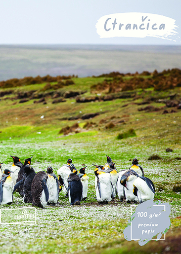 Crtančica LIPA MILL, B5 linije, 16 listova, meki uvez