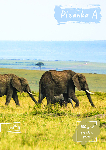 Pisanka A LIPA MILL, B5 linije, 16 listova, meki uvez