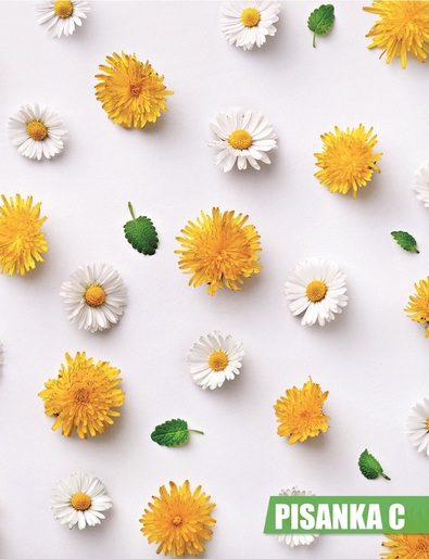 Pisanka C BEMORE, B5 linije, 16 listova, meki uvez