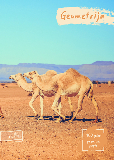 Pisanka Geometrija LIPA MILL, B5, 16 listova, meki uvez