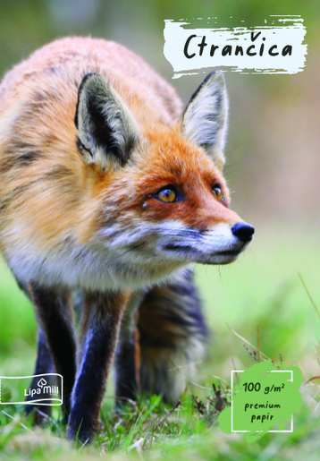 Crtančica LIPA MILL, B5 linije, 16 listova, meki uvez