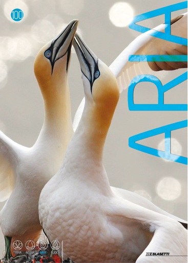 Bilježnica BLASETTI, A4 linije, 20 listova, meki uvez