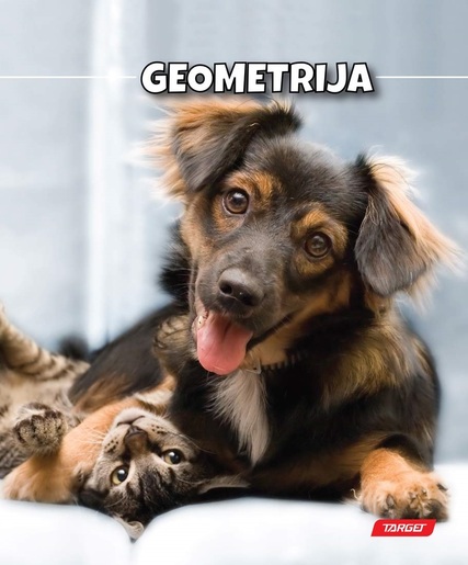 Bilježnica TARGET, B5 geometrija, 16 listova, meki uvez