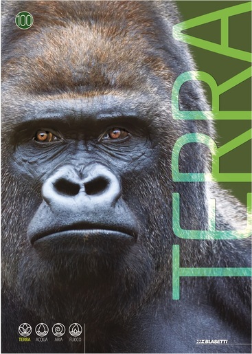 Bilježnica BLASETTI, A4 linije, 20 listova, meki uvez