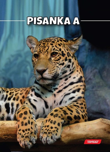 Pisanka A TARGET, B5 linije, 16 listova, meko izdanje