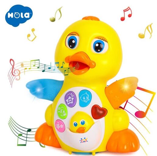 HOLA Rasplesana patka