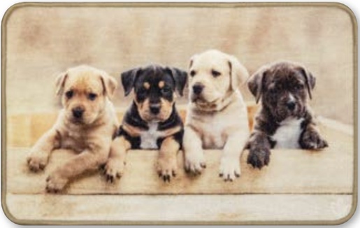 OLIVO TAPETTI otirač ANIMAL DIGITAL, 44 x 75 cm, motiv psa