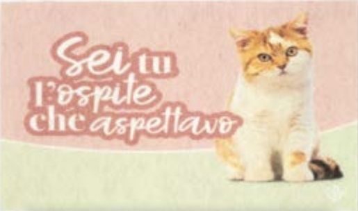 OLIVO TAPETTI otirač PET HOME 40 x 65 cm, rozo/žuti