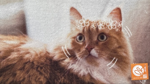 OLIVO TAPETTI podloga PET DIGITAL 40 x 75 cm, motiv mačke