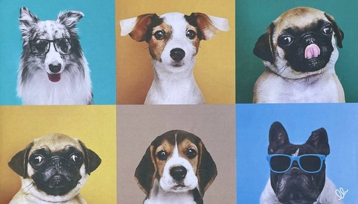 OLIVO TAPETTI podloga PET OASIS 45 x 75 cm, motiv psa