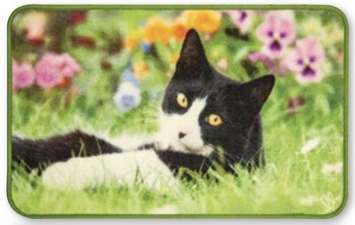 OLIVO TAPETTI otirač ANIMAL DIGITAL, 44 x 75 cm, motiv mačke