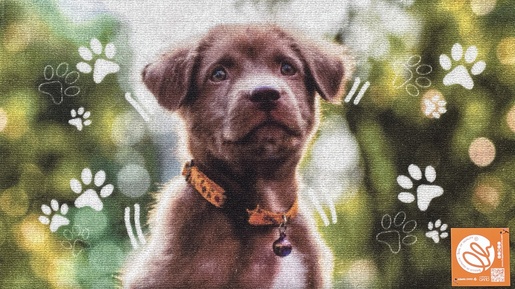 OLIVO TAPETTI podloga PET DIGITAL 40 x 75 cm, motiv psa