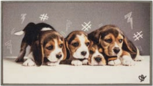 OLIVO TAPETTI podloga PET DIGITAL 40 x 75 cm, motiv psa