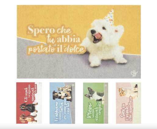 OLIVO TAPETTI otirač PET HOME 40 x 65 cm, zeleno/sivi