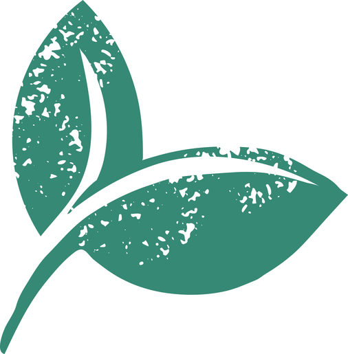 NUK for nature duda lateks 6-18m 2/1