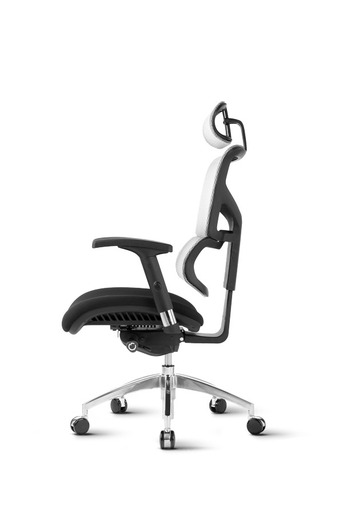 Ergovision Smart 04, uredska stolica, siva leđa/crno sjedalo