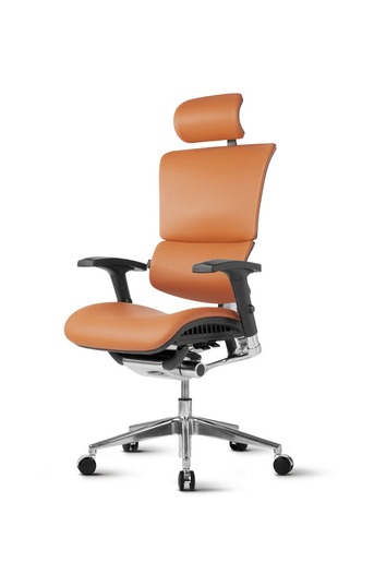 Ergovision Smart Deluxe 01, uredska stolica, konjak